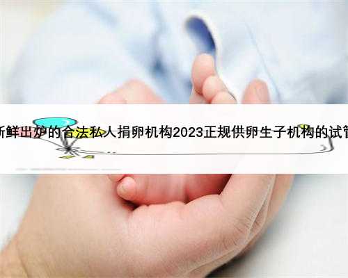 武汉市新鲜出炉的合法私人捐卵机构2023正规供卵生子机构的试管多少钱