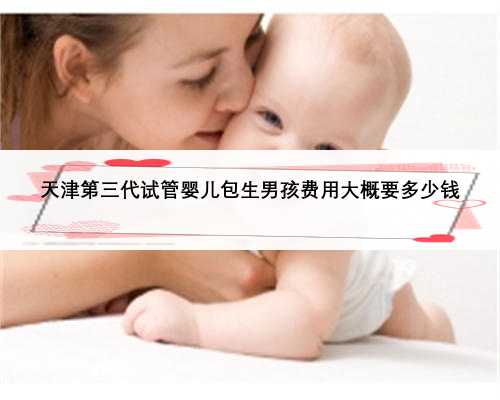 天津第三代试管婴儿包生男孩费用大概要多少钱