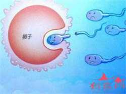 53岁郑州借卵子生子，郑州正规供卵试管婴儿